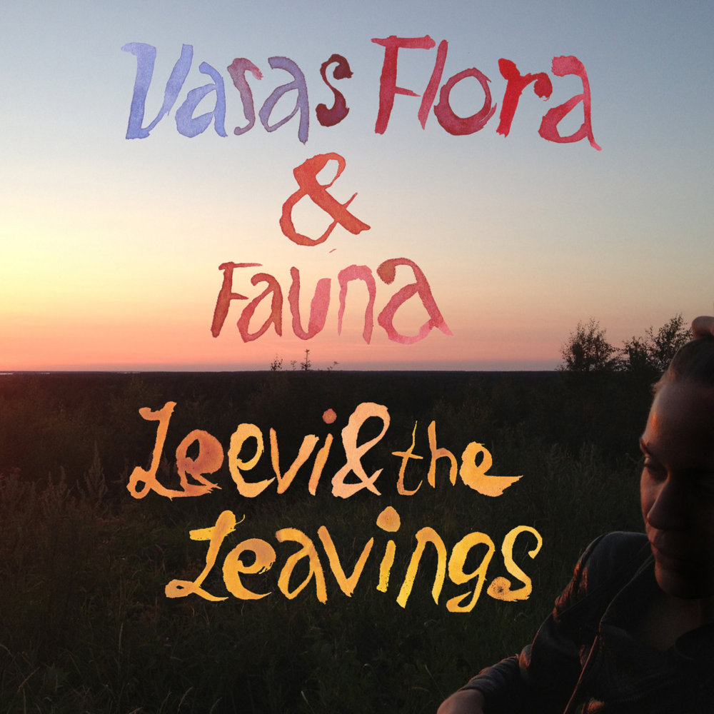Leevi and the Leavings