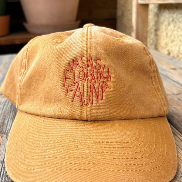 Keps, ”Berg i dagen”, gul